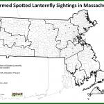 A map of confirmed spotted lanternfly sightings in Massachusetts, courtesy of the Massachusetts Department of Agricultural Resources. To date, the spotted lanternfly is NOT known to be established in MA.