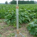 Reducing climatic and disease risks through minimum tillage systems for vegetables