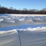 Winter Production, Storage and Sales