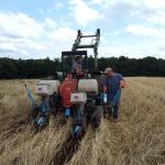 Reducing climatic and disease risks through minimum tillage systems for vegetables