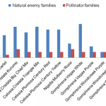 Figure 1. Total number of insect families represented by insects collected directly from flowers. Natural enemy  families include insect parasitoid and predatory species. Pollinator families include all other insects classified.