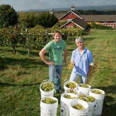 Shawn McIntire and Sonia Schloemann at UMass Cold Spring Orchards