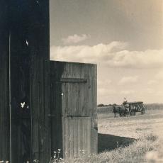 Barn and tobacco wagon, Wysocki farm, 1946.