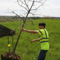 Andy Cox sets tree at site for planting