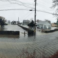 Flooding in Dennis after January 2018 storm. Photo credit Rebecca Westgate 