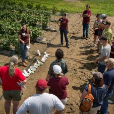 An active Agricultural Field Day in South Deerfield