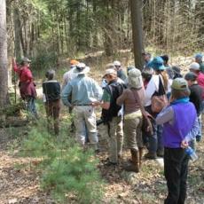 Keystone Cooperators learn about forest management
