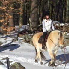 Horses and riders enjoy riding trails on Ben and Susie Feldman's property in Athol
