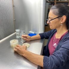 Angela Madeiras prepares samples for testing