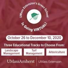 UMass Green School logo