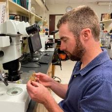 Nicolas Brazee examines specimen sent to the UMass Diagnotic Lab