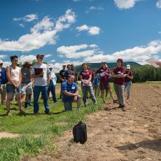 Massachusetts Agricultural Field Day draws good crowds