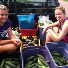 Stonehill College students sort vegetables to prepare for market
