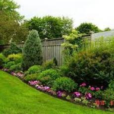 Landscape with perennials, turf, trees and shrubs.