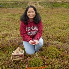Sai Sree in bog holding cranberries