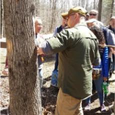 6) Nate Siegert discussing the biology of the emerald ash borer. 