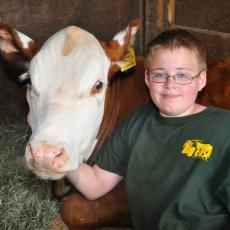 Boy and cow