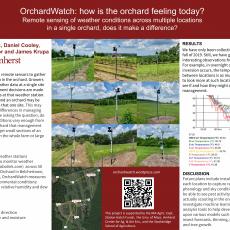 OrchardWatch: How is the Orchard Feeling Today