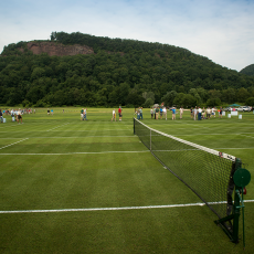 Grass tennis courts used for research