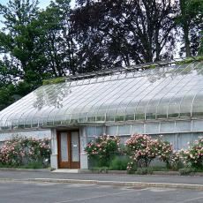Durfee Conservatory greenhouse