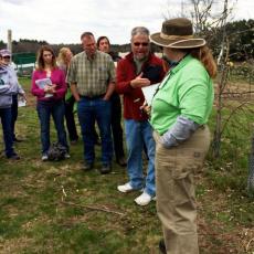 Jon Clements, UMass Extension Educator, educates Tangerini workshop attendees aout orchard care