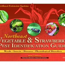 Pest ID Guide cover