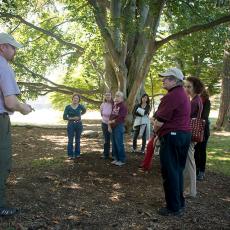 Rick Harper offeres historic tree tour on campus