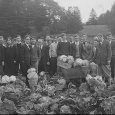 Market gardening class with cabbages in field