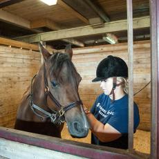 Student taking care of horse at the Hadley Farm