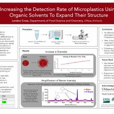 Increasing the Detection Rate of Microplastics Using Organic Solvents To Expand Their Structure