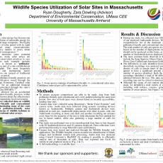 Wildlife Species Utilization of Solar Sites in Massachusetts