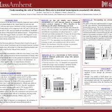 iris Park poster - Understanding the role of Turicibacter/Butyrate in intestinal tumorigenesis associated with obesity