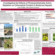Investigating the Effects of Photosynthetically Active Radiation on Chlorophyll Content in Butternut Squash
