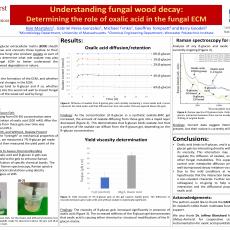 a research poster on Understanding fungal wood decay: Determining the role of oxalic acid in the fungal ECM by Kyle Mastalerz
