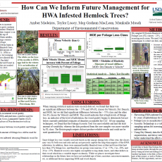 How Can We Inform Future Management for HWA Infested Hemlock Trees? 