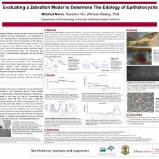 Evaluating a Zebrafish Model to Determine The Etiology of Epitheliocystis