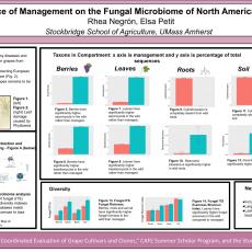 Influence of Management on the Fungal Microbiome of North American Grapes