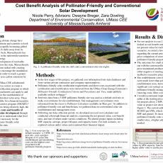 Cost Benefit Analysis of Pollinator-Friendly and Conventional Solar Development
