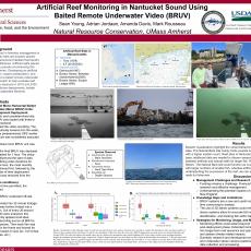 Artificial Reef Monitoring in Nantucket Sound using Baited Remote Underwater Video (BRUV)