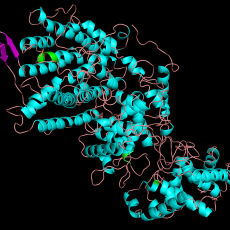 Homology Model of Terpene Synthase found in Magnaporthe oryzae