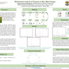 a research poster on Biochemical Analysis of Terpenes in Rice Blast Fungus by Thanga Aishwarya Mahendran