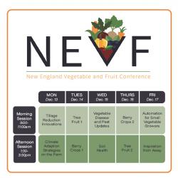 nevf-schedule-at-a-glance
