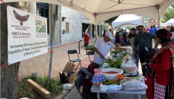 Urban Farmers at a festival selling a surplus of produce 