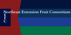 Northeast Extension Fruit Consortium