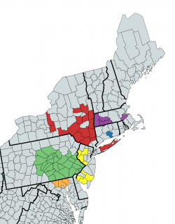 Map of the northeast US with many counties colored in.