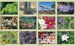 2022 Garden Calendar thumbnails of monthly images