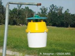 Hanging yellow and white bucket trap. 