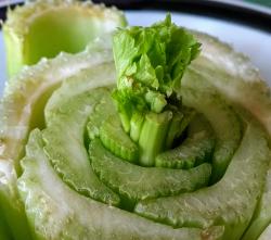 cut celery growing