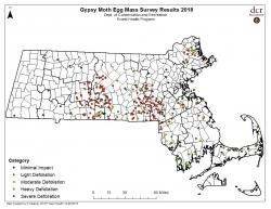 Mass DCR Gypsy Moth Egg Mass Survey Results 2018
