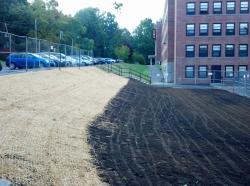 Mulches are key for protecting bare soil during the turf establishment process, especially on slopes where erosion is a concern.  The mulch used here is a biodegradable straw netting that rolls out easily for fast and uniform application.